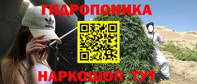 ПСИЛОЦИБИНОВЫЕ ГРИБЫ Свободный